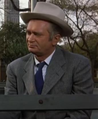 蒂凡尼的早餐戈莱特医生