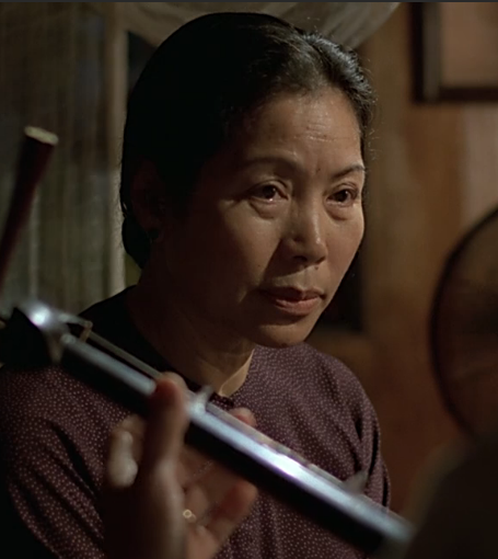 青木瓜之味太太