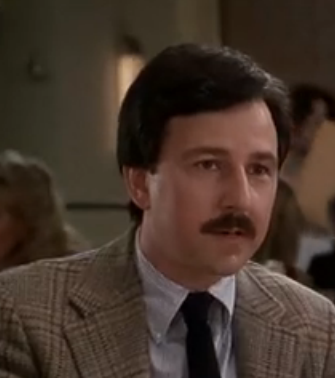 当哈利遇到莎莉杰斯