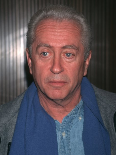 木兰花WDKKShowDirector