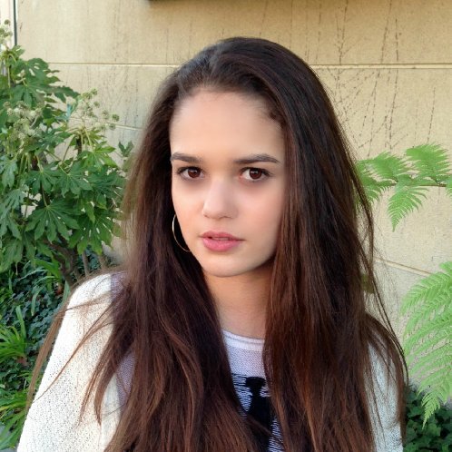 圣诞狗狗1：全面搜寻Willamina