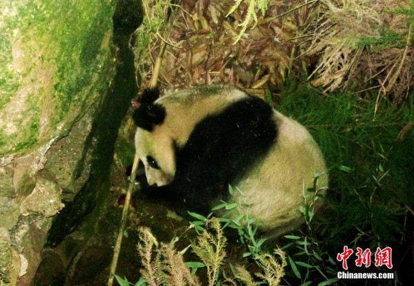 第2张图片