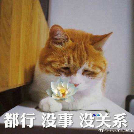 第5张图片