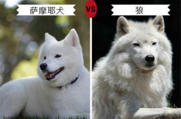 第5张图片