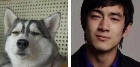 第3张图片