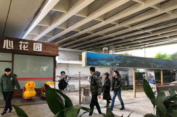 第5张图片