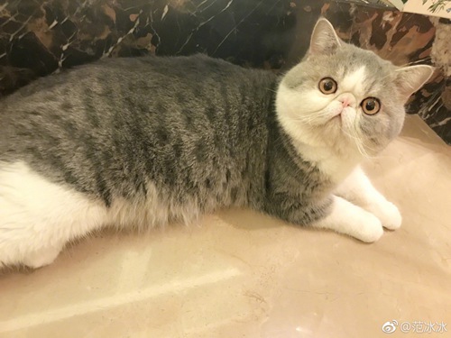 第5张图片