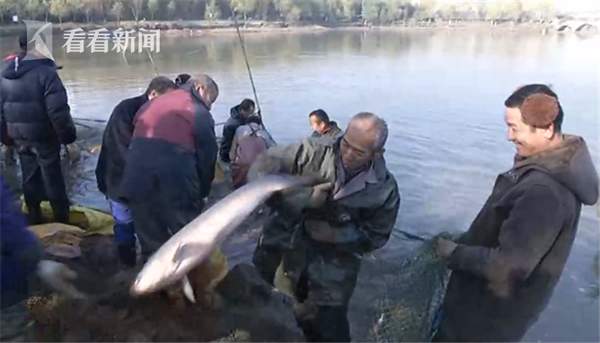第2张图片