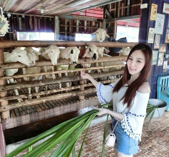 第5张图片