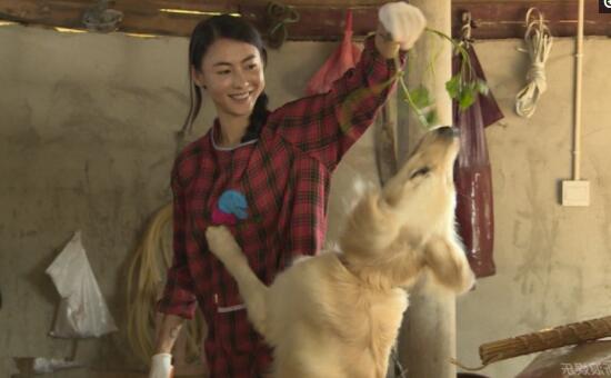 第4张图片