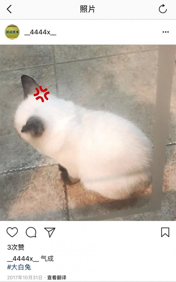 第5张图片
