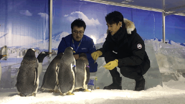 第3张图片