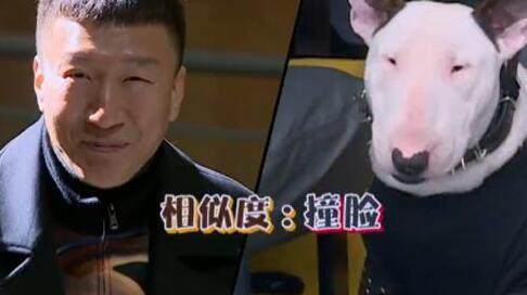 第4张图片