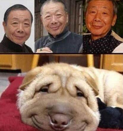 第2张图片