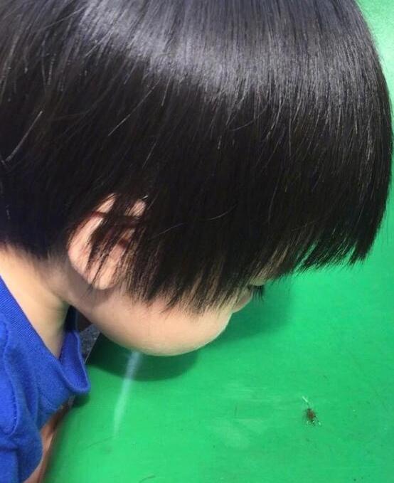 第2张图片