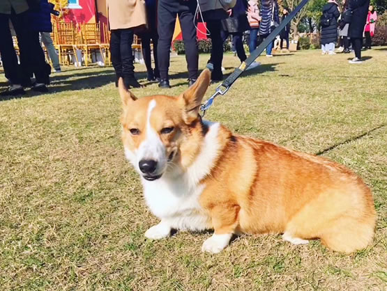第6张图片