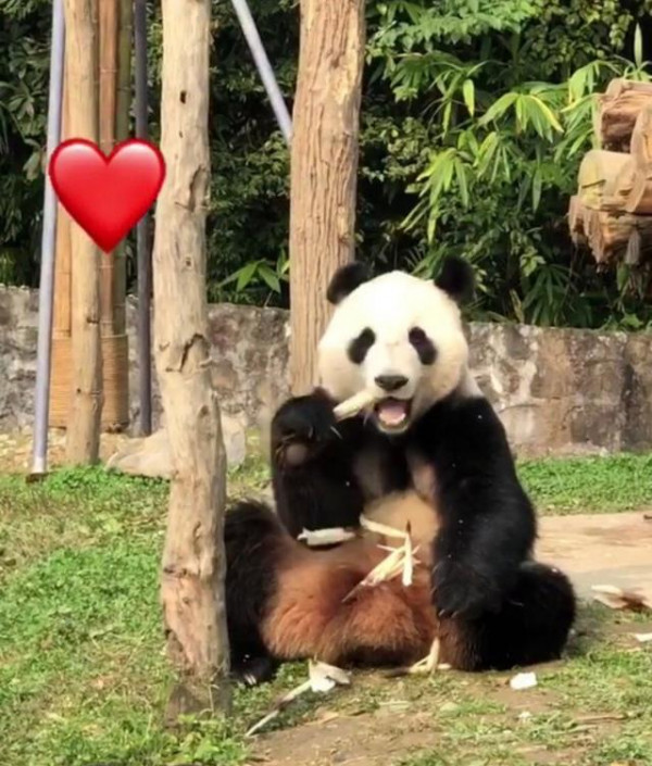 第13张图片
