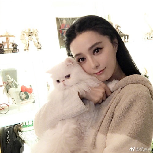 第2张图片