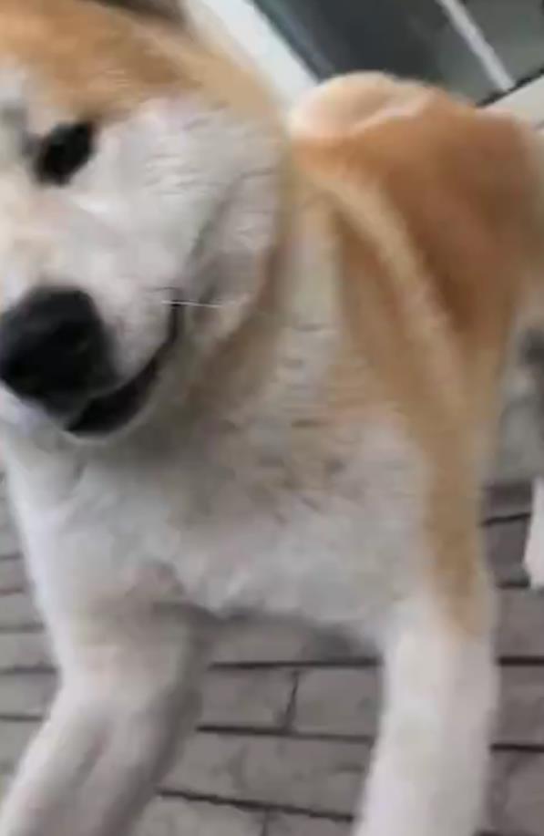 第3张图片