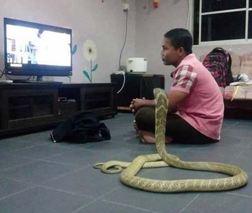 第2张图片